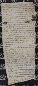 9 B.6.IXr, Investitura fatta da Varino vescovo a favore di Domenico Ingegno da Saliceto, Modena, [1009, apr. 6]